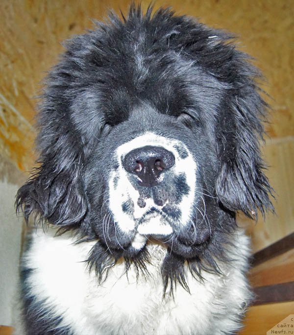 Фотография № 173530