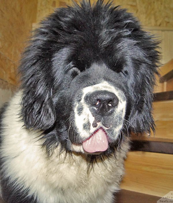 Фотография № 173531