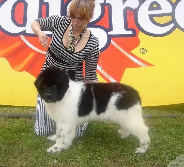 Фотография № 17354