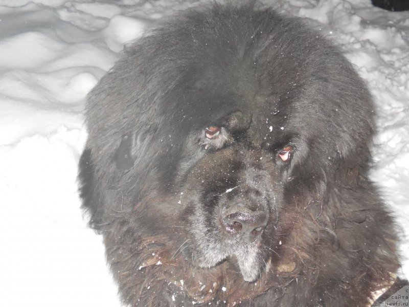 Фотография № 173541