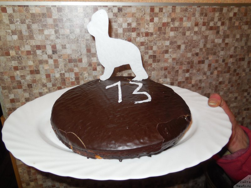 Фотография № 173543