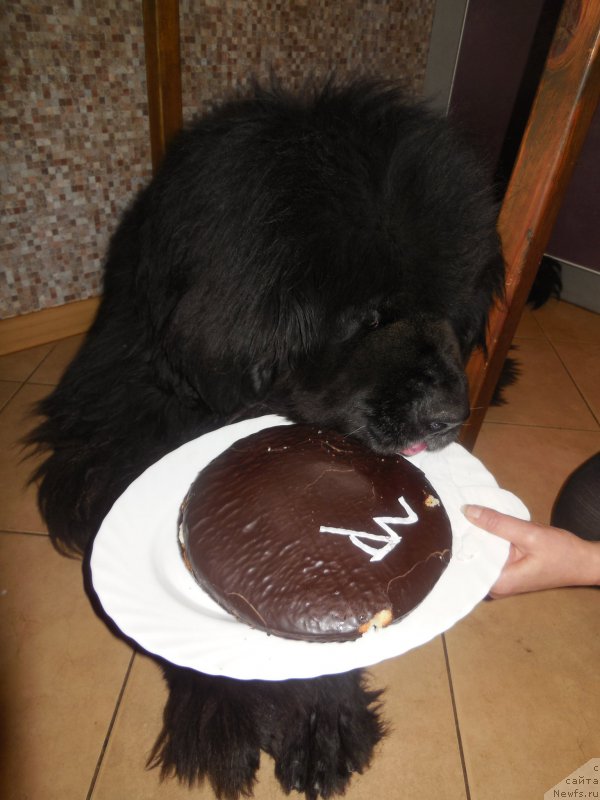 Фотография № 173546