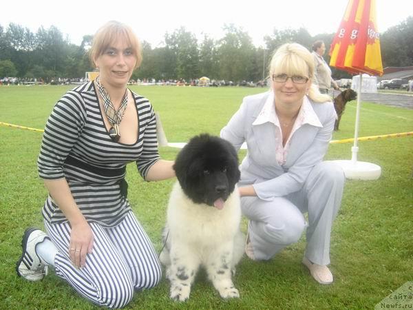 Фотография № 17355