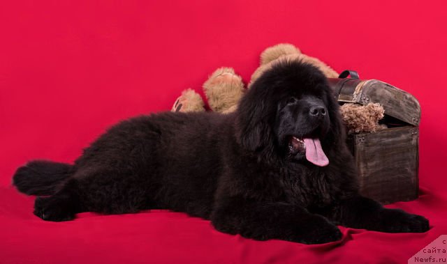 Фотография № 173556