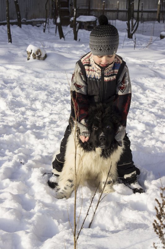 Фотография № 173560