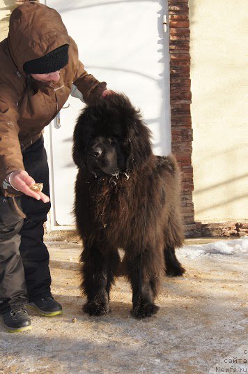 Фотография № 173570