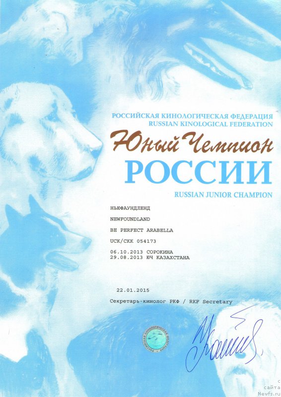 Фотография № 173573