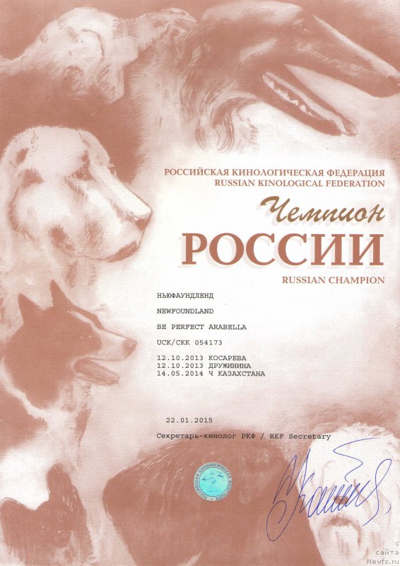 Фотография № 173574