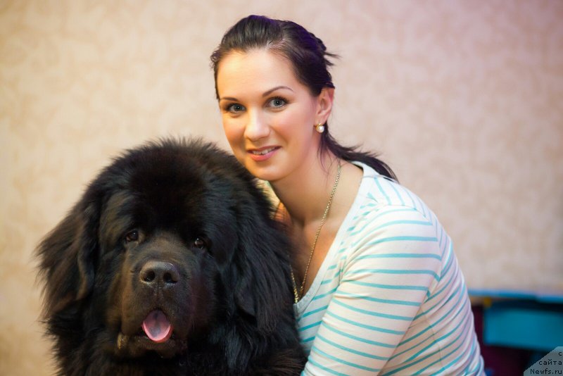 Фото: ньюфаундленд Spart Great Bavariya Bell (Спарт Грейт Бавария Бель), Kristina Mamon (Кристина Мамон)