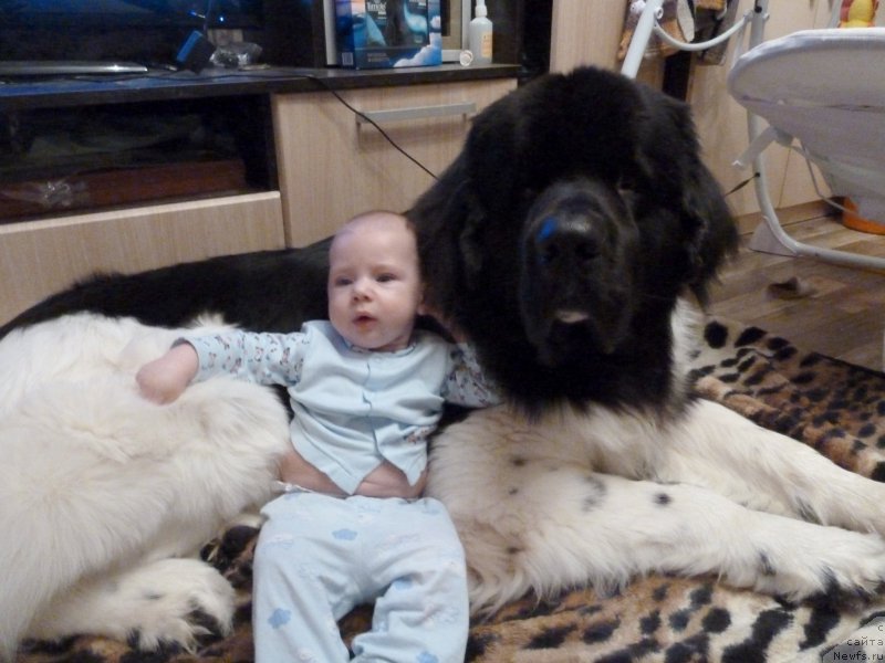 Фотография № 173627