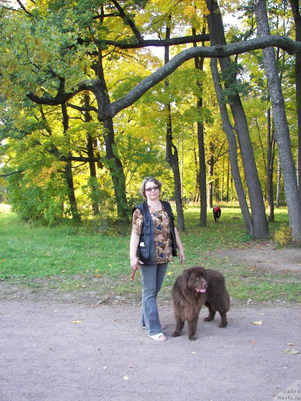 Фото: ньюфаундленд Peter-Bear Layma Prayd (Петер-Беар Лайма Прайд), Ekaterina Benken (Екатерина Бенкен)