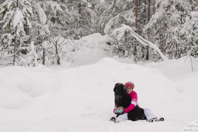 Фото: ньюфаундленд Hilda Fulfillment of Dreams Black Legend (Хилда Фулфилмент оф Дреамс Блак Легенд)