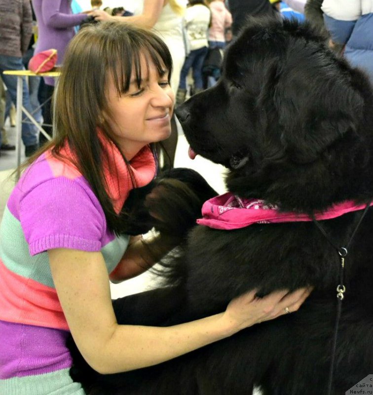 Фотография № 173774