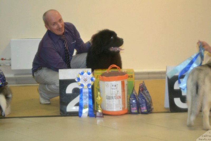 Фотография № 173803