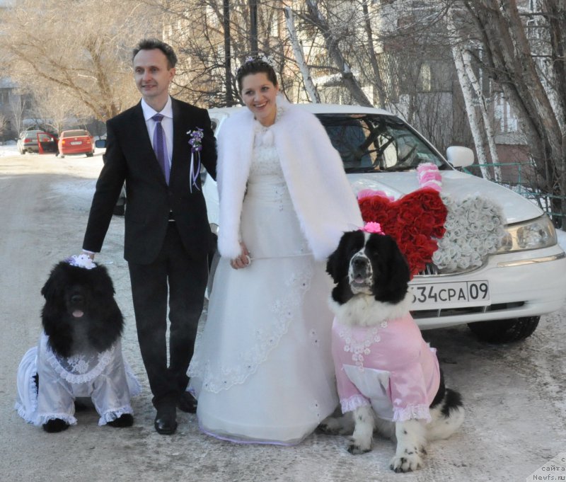 Фотография № 173811