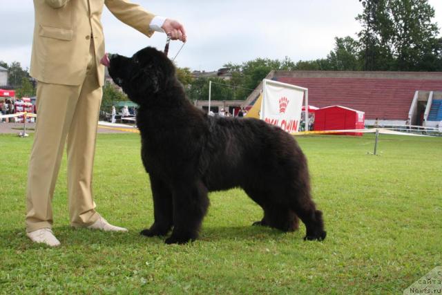 Фотография № 17382