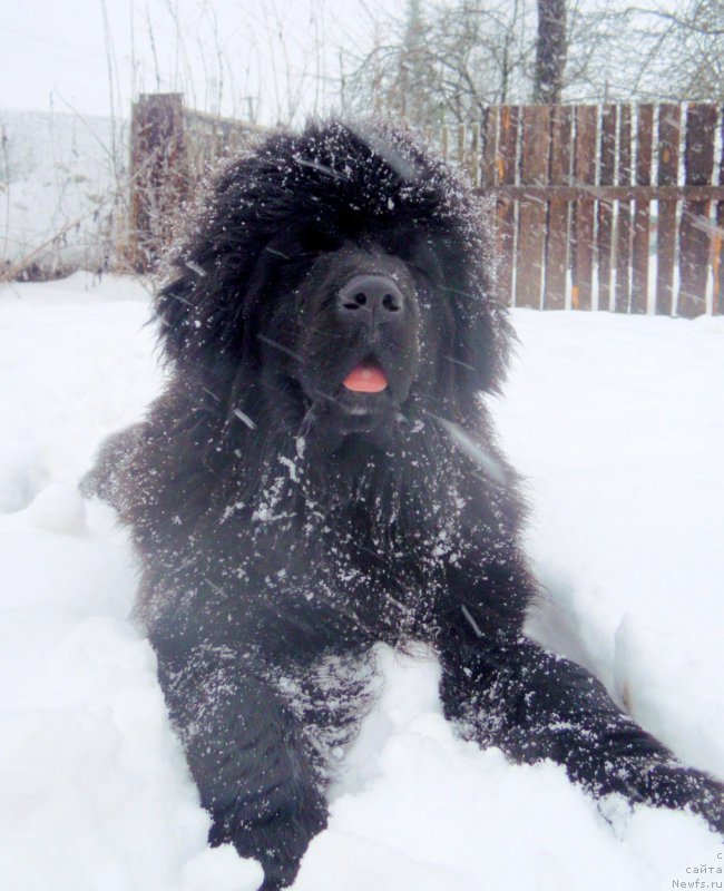 Фотография № 173822