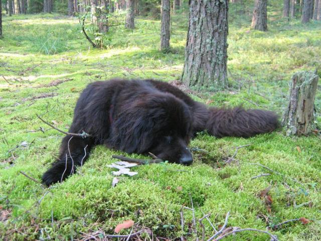 Фотография № 17384