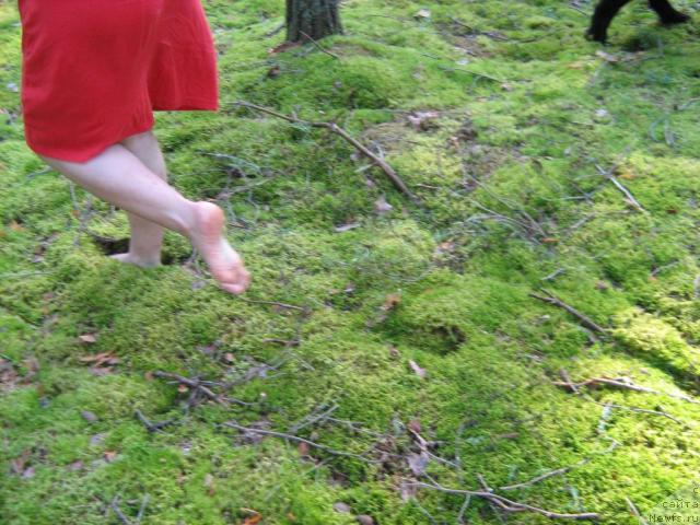 Фотография № 17386