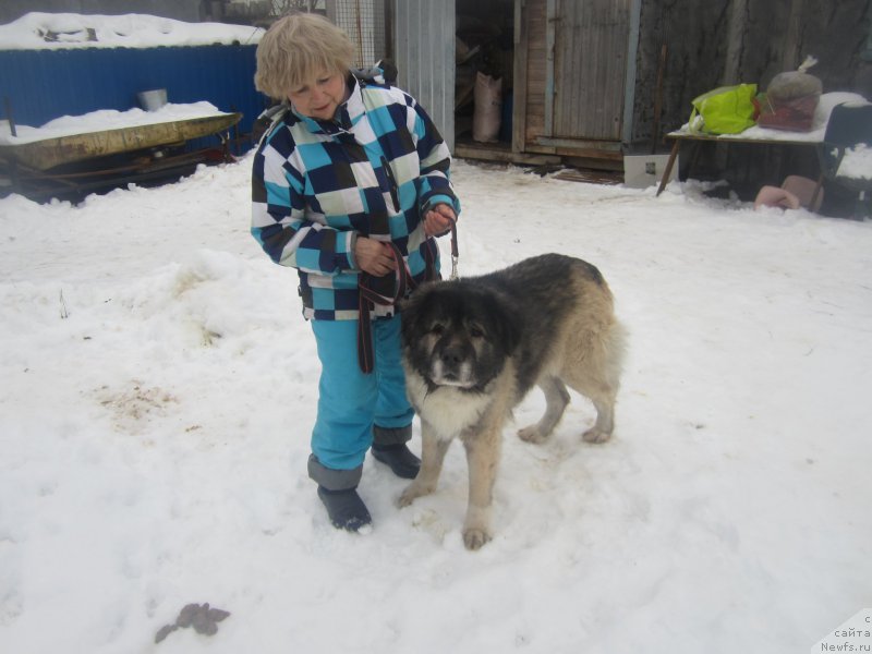 Фотография № 173863