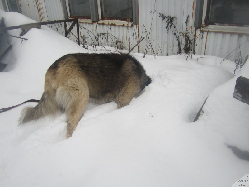 Фотография № 173867