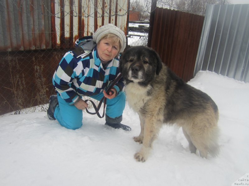 Фотография № 173869