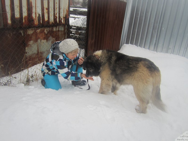 Фотография № 173870