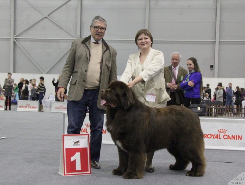 Фотография № 173887