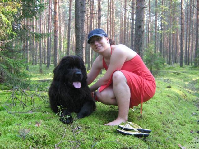 Фотография № 17389