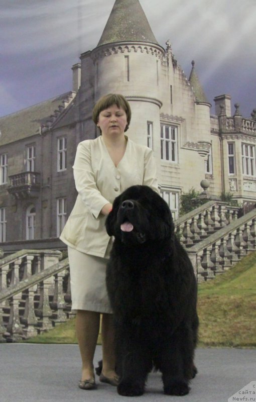 Фотография № 173890