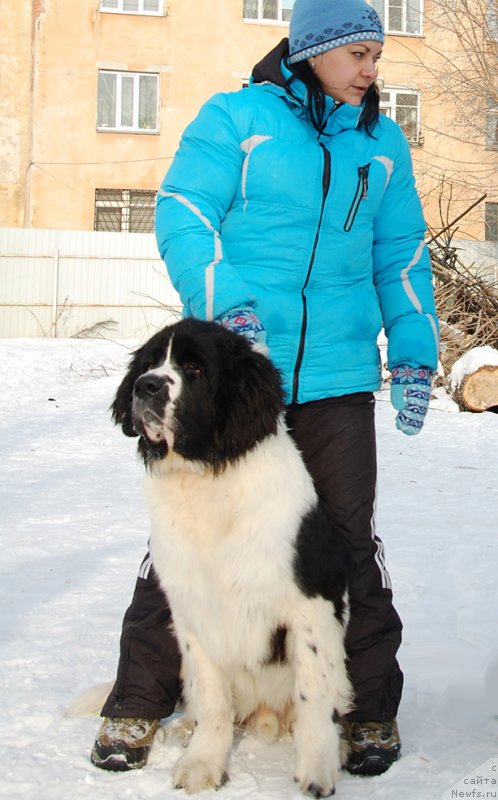 Фотография № 173897