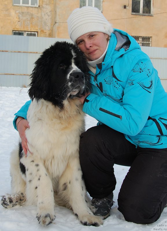 Фотография № 173903