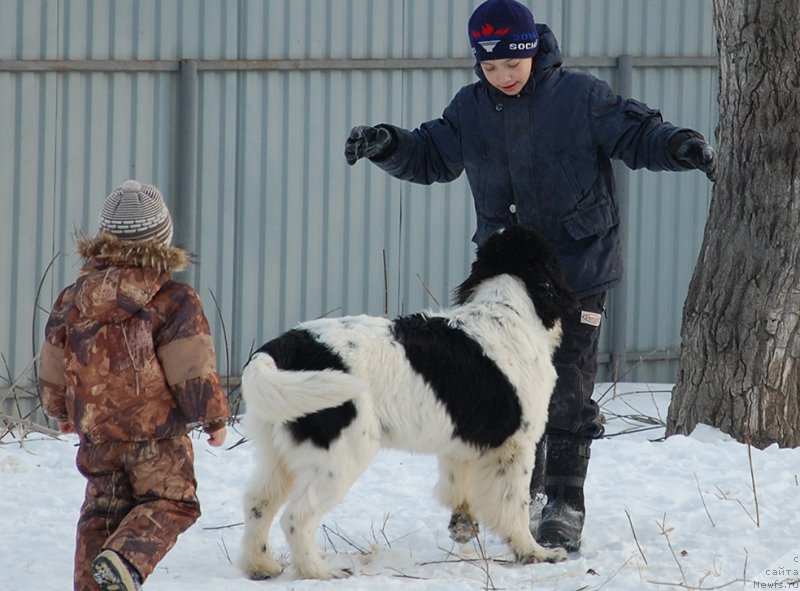 Фотография № 173904