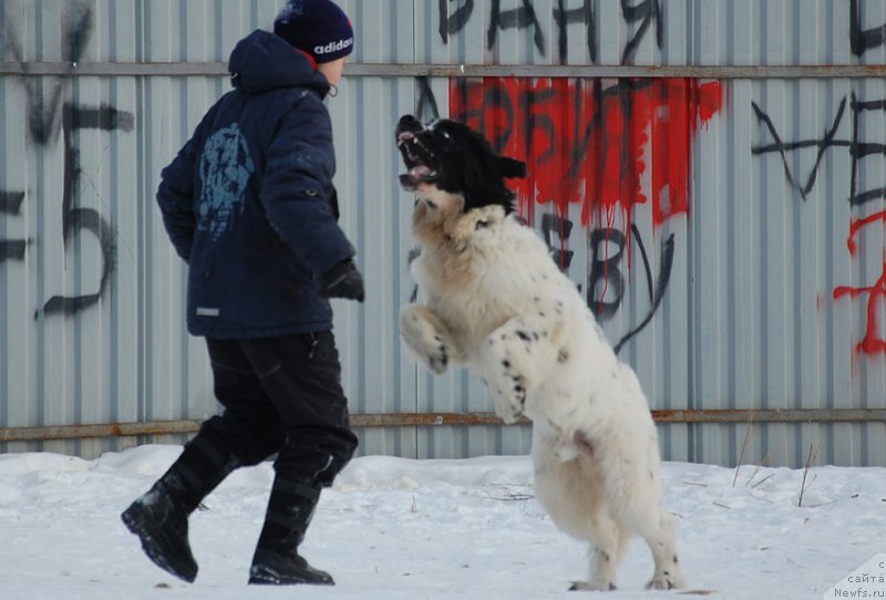 Фотография № 173907