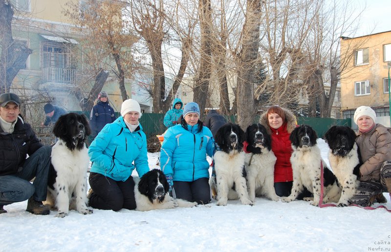 Фотография № 173912