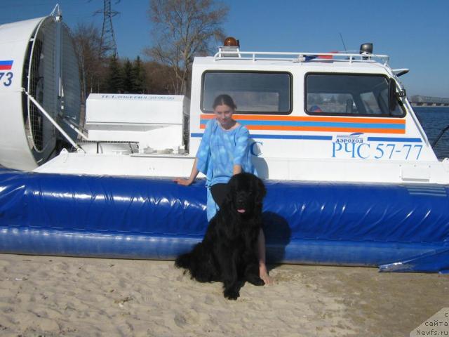 Фото: Dar'ya Gusyinina (Дарья Гусынина), ньюфаундленд Arman'yak Dushi Moey (Арманьяк Души Моей)