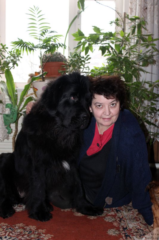 Фотография № 173921