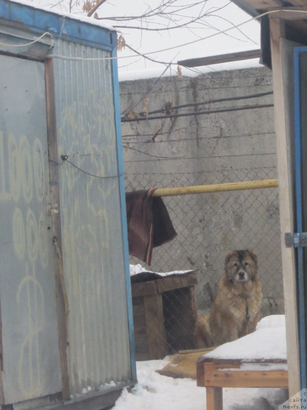 Фотография № 173944