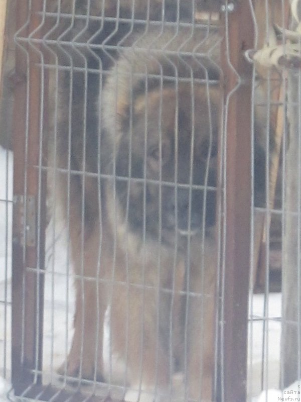 Фотография № 173946