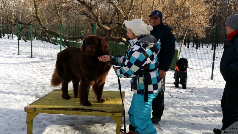 Фото: Natal'ya Smazchikova (Наталья Смазчикова), [p2674][d11032]