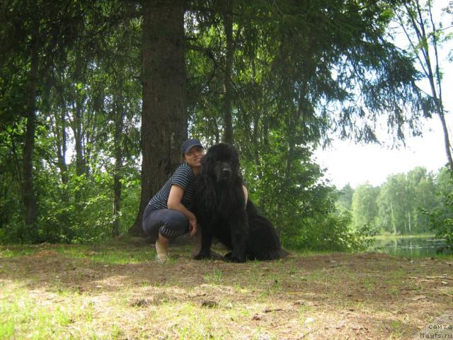 Фото: Aleksandra Fetisova (Александра Фетисова), Сент Джонс Лесная Фея