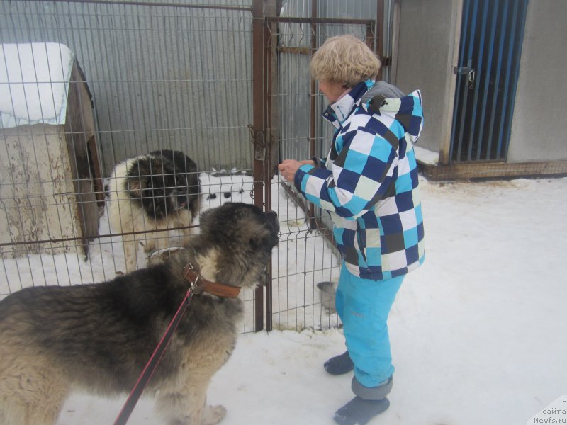 Фотография № 173950