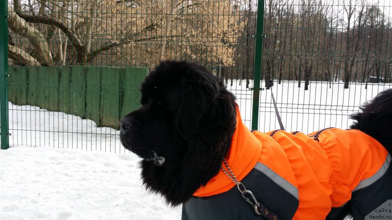 Фото: Ol'ga Muzyichuk (Ольга Музычук)