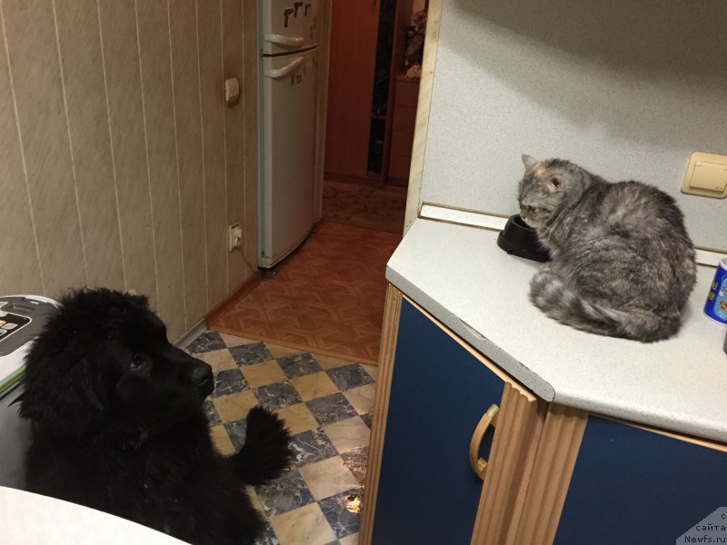 Фотография № 173970