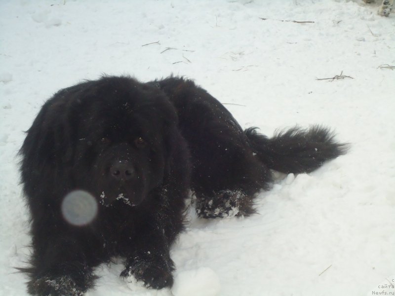 Фотография № 173980