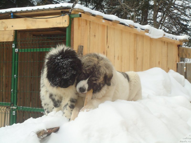 Фотография № 173983