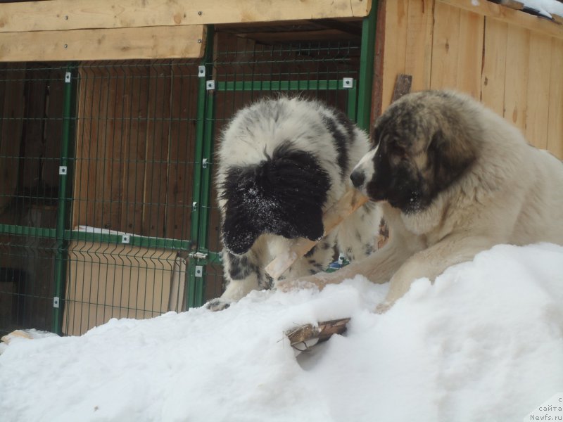 Фотография № 173984