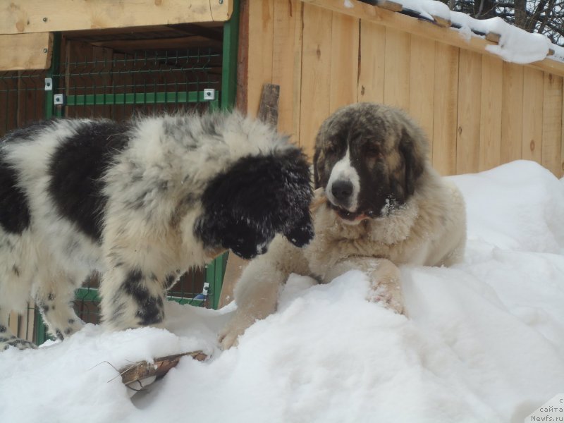 Фотография № 173985