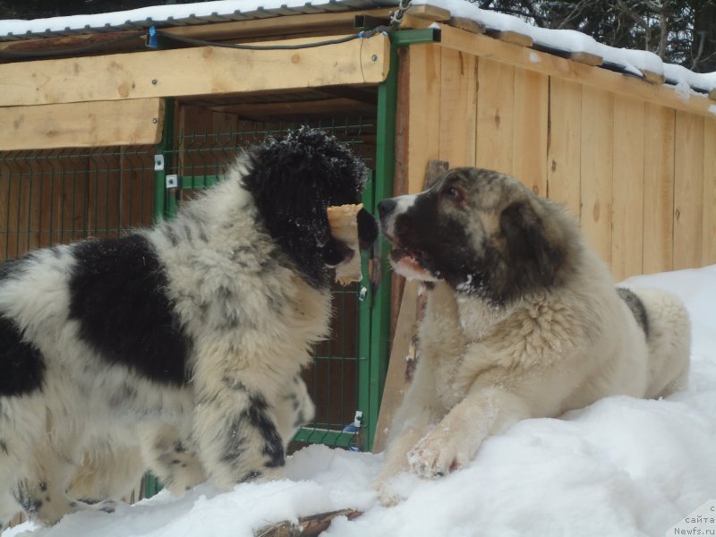 Фотография № 173986