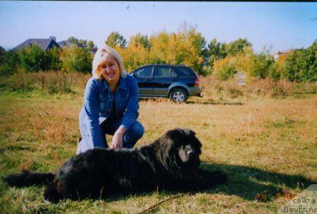 Фото: ньюфаундленд Lesnaya Skazka Ruslana (Лесная Сказка Руслана), Elena Stepanova (Елена Степанова)